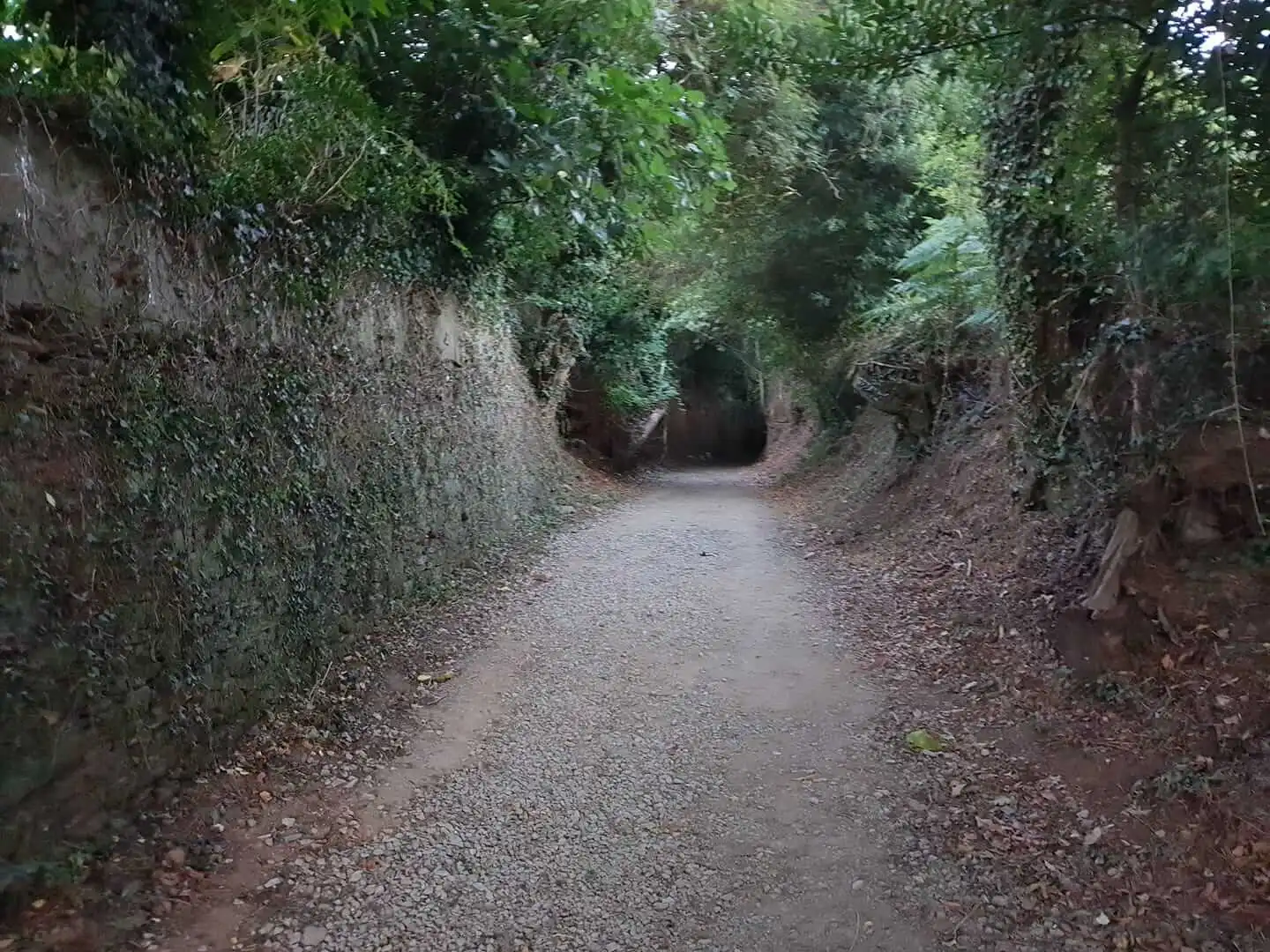 A 2017-es Camino de Santiago zarándokút – itt született a Denticor ötlete